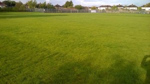 Sports Fields Maintenance